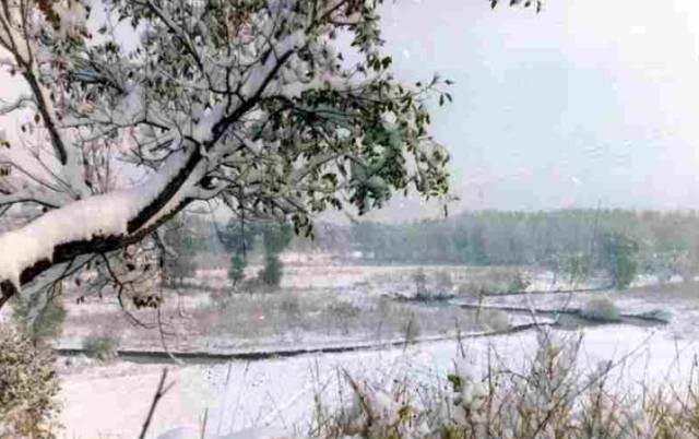 那一年的北京，我们再也回不去了！记忆中的老北京