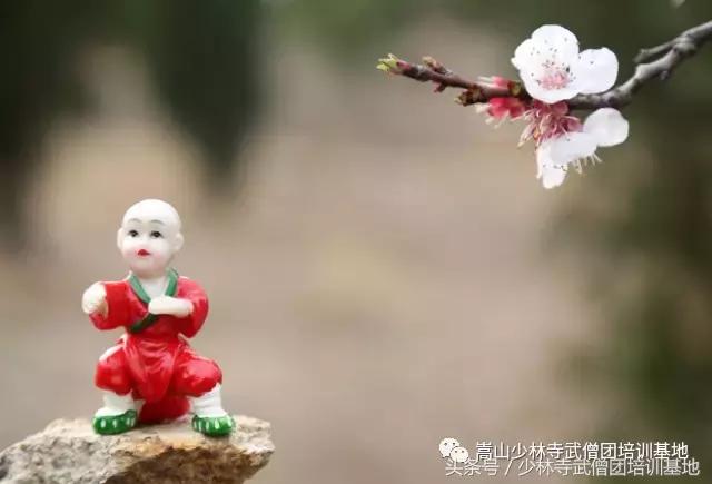 为什么出门看队列进门看内务,入门看内务出门看队伍