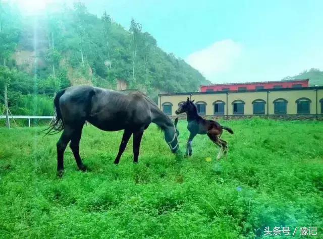 哪座山离郑州最近,有哪些离郑州很近的山