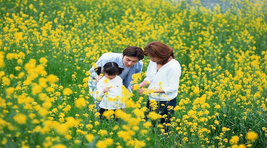 是死是活，按百分算医疗只占8分