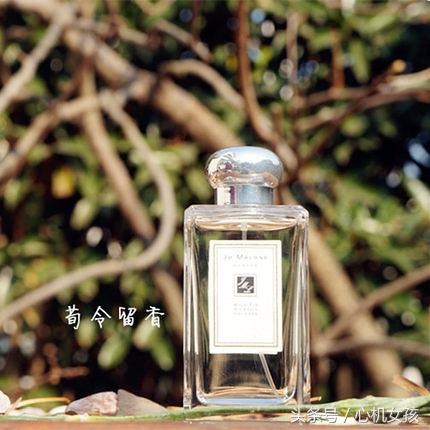 jomalone祖马龙香水如何鉴别真假,jomalone祖玛珑香水价格
