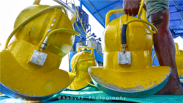 到巴厘岛的感受,到巴厘岛后怎么去蓝梦岛