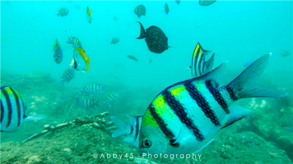 到巴厘岛的感受,到巴厘岛后怎么去蓝梦岛