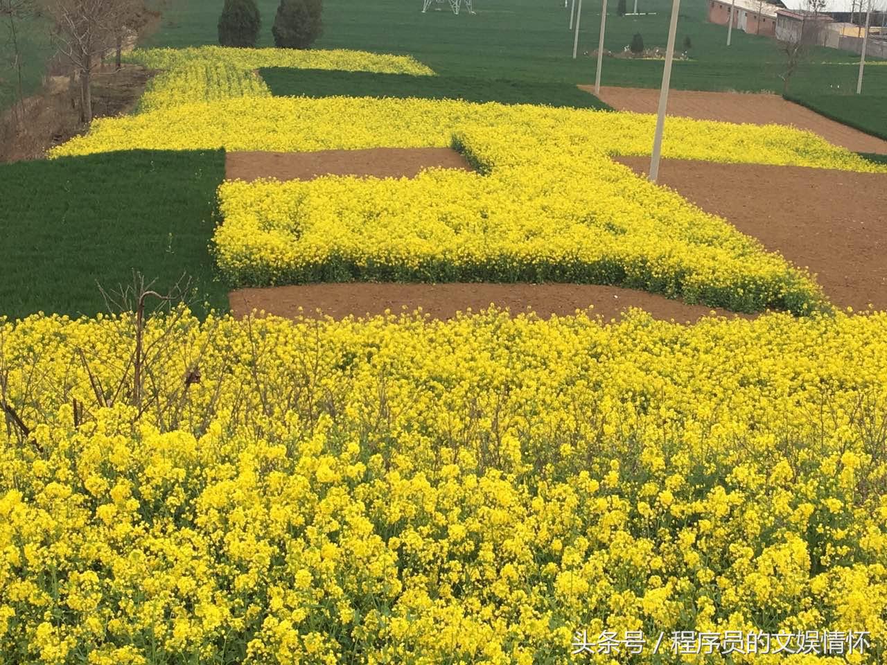 怀旧熊孩子的小学生涯