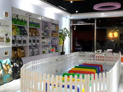 开干洗店心得,开宠物店的总结和心得