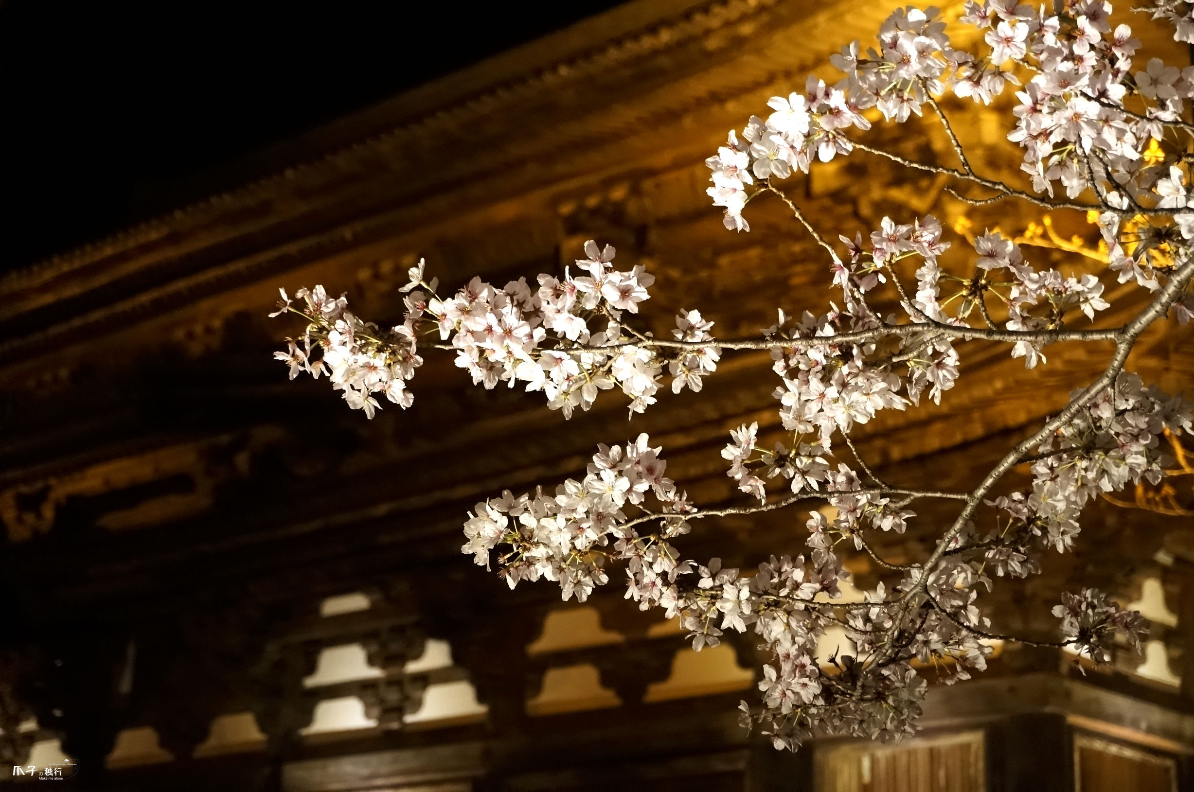 2019京都赏樱,京都樱地之花开时间