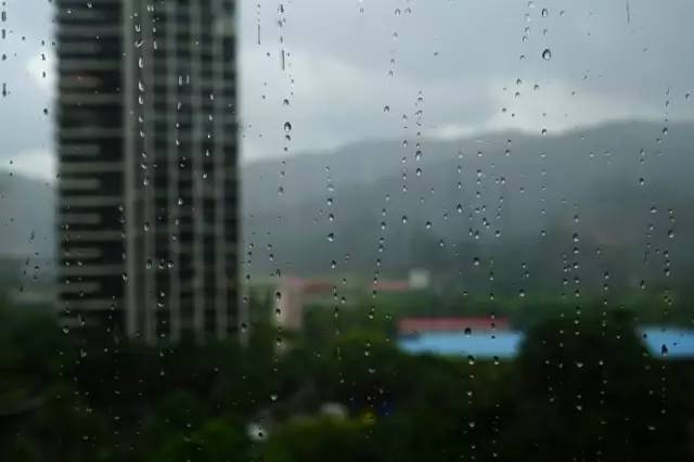 水族箱草缸开缸教程新手入门,雨林缸开缸多久植物才会稳定