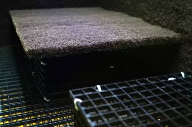 水族箱草缸开缸教程新手入门,雨林缸开缸多久植物才会稳定