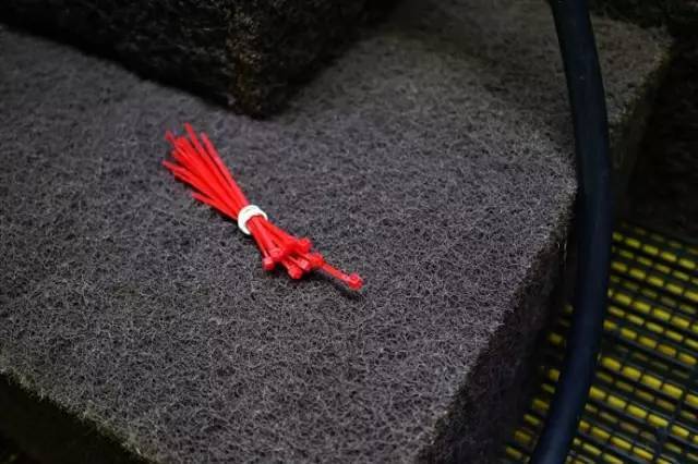 水族箱草缸开缸教程新手入门,雨林缸开缸多久植物才会稳定