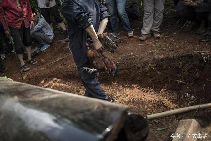 光棍贪吃棺材上的领魂鸡，引来亡灵报复，道长一计化危难