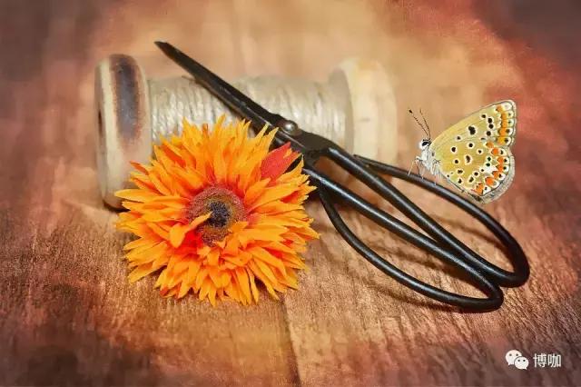 面辅料市场哪家强,广州面辅料市场