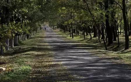 盘点北京38个森林公园,定个小目标完整版免费