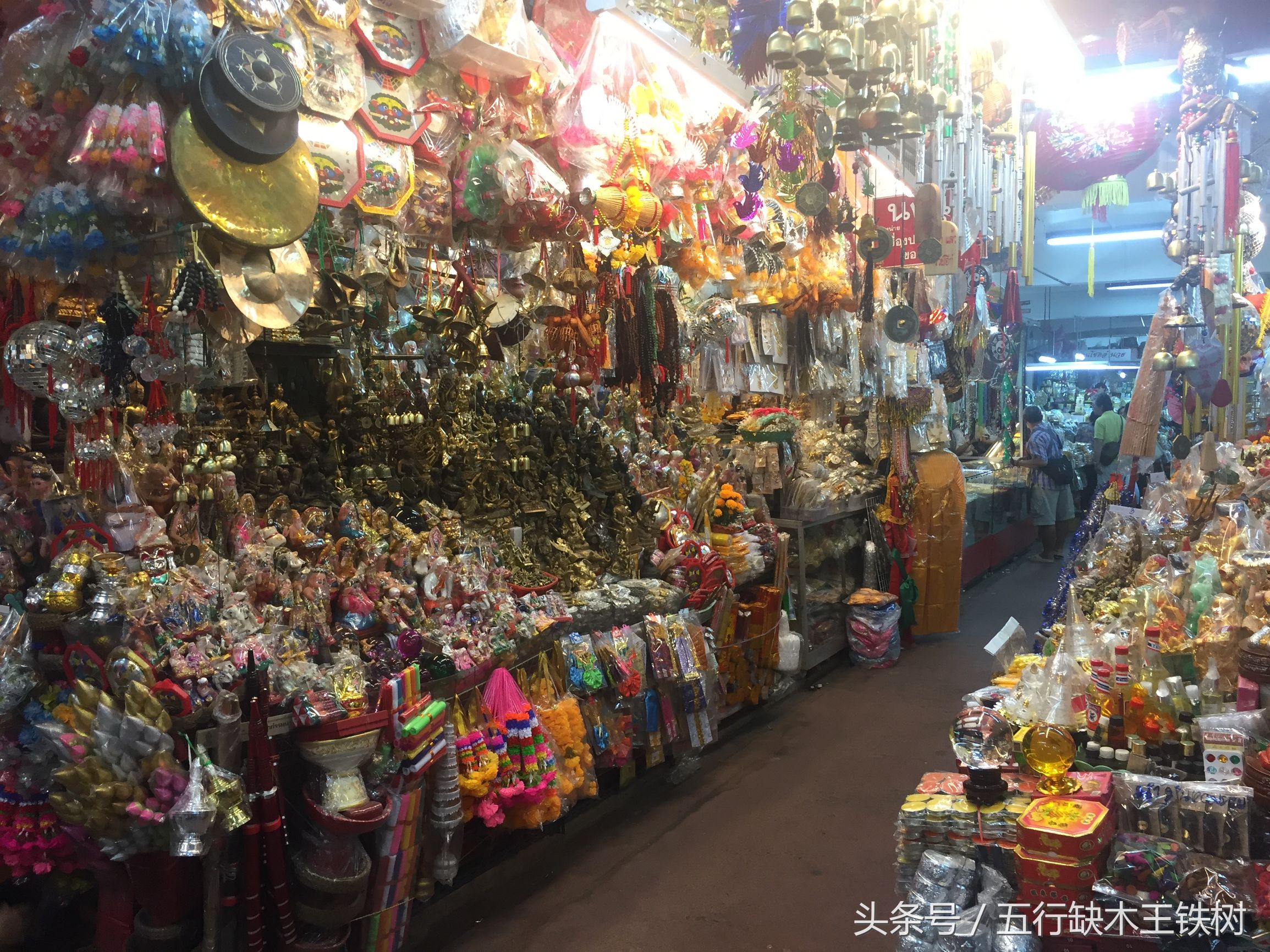 铁树在哪里可以买到,铁树在哪里买