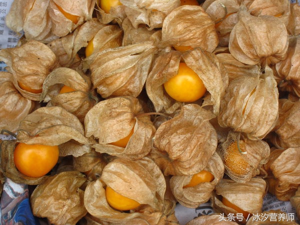 和灯笼果一样的果子,有一种果子像灯笼一样