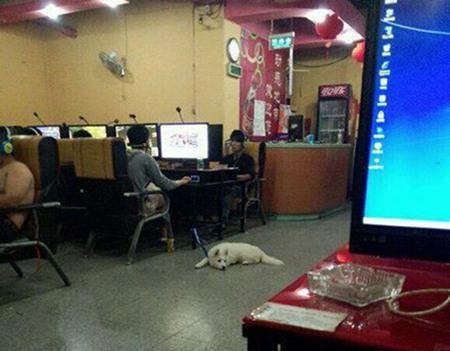 少年，像这样真的就能找到媳妇吗？我也要去买块牌子！