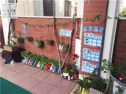 幼儿园如何打造自然区角的环境,复古自然角幼儿园