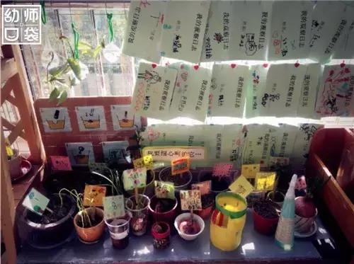 幼儿园如何打造自然区角的环境,复古自然角幼儿园
