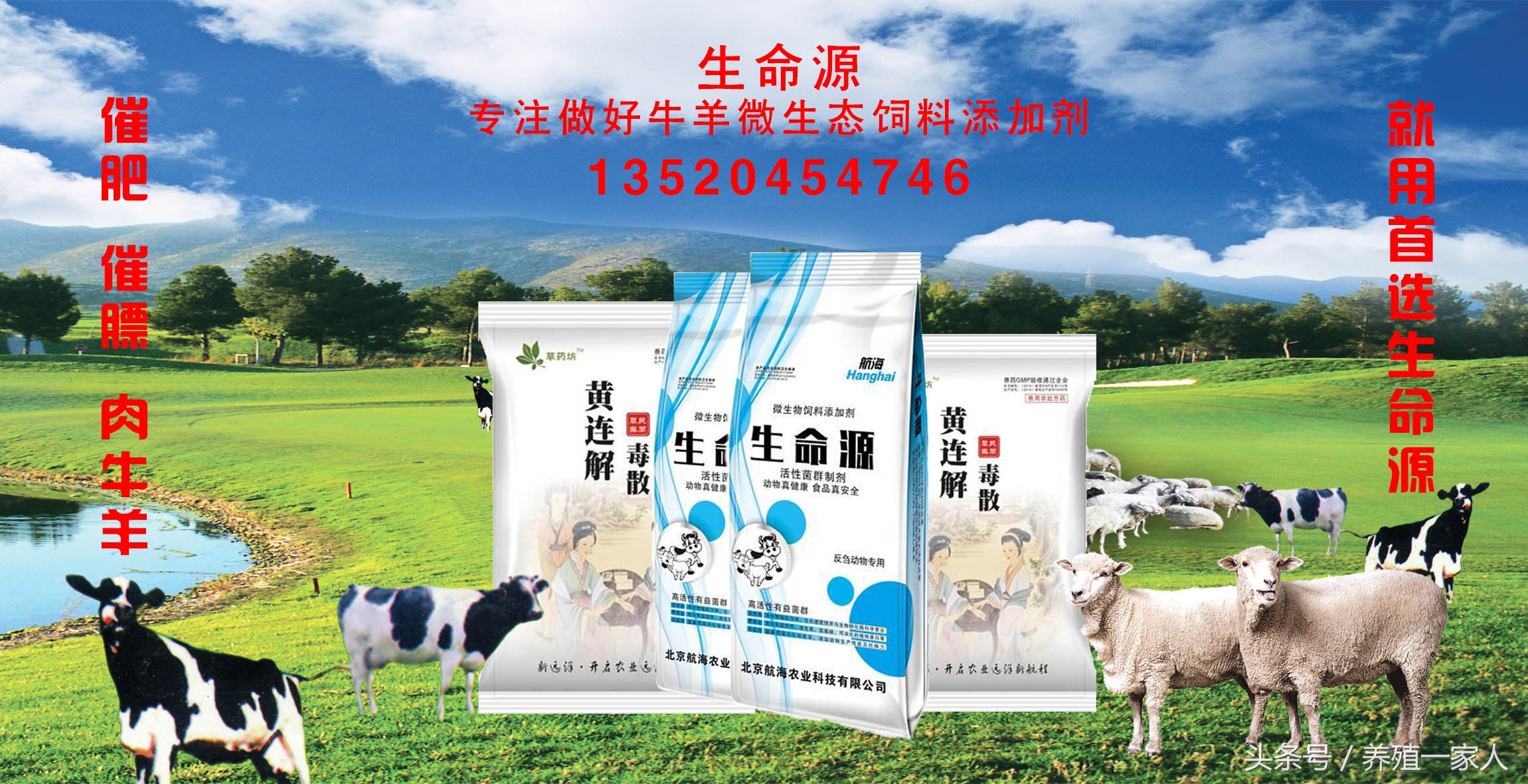 全国进口牛肉市场一览表,牛肉现在市场多少钱一斤