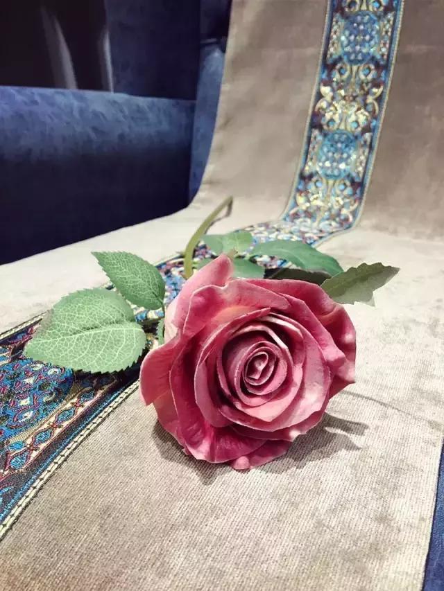 不买zara的东西,zara哪个系列最值得买