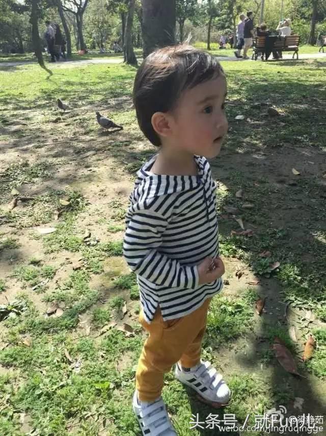 细数tvb的四大花旦现状,tvb女星现在的情况