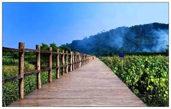 珠海听海在哪里,珠海可以清晨去的海边