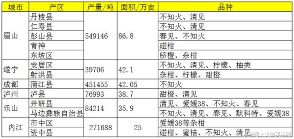 大型丑橘基地,稳坪何家寨丑橘基地