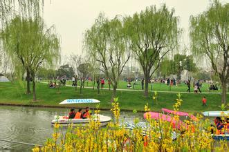 鏃犵嚎鍚堣偉鐩存挱,浠婃棩鍚堣偉鏃╂姤