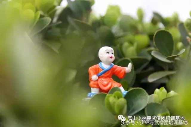 为什么出门看队列进门看内务,入门看内务出门看队伍