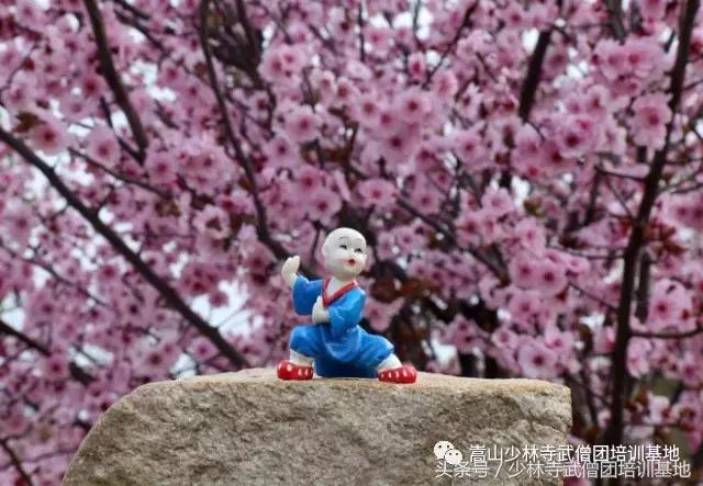 为什么出门看队列进门看内务,入门看内务出门看队伍