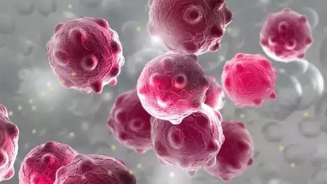 一学校60余名师生感染性腹泻，医学博士教你怎么防它！