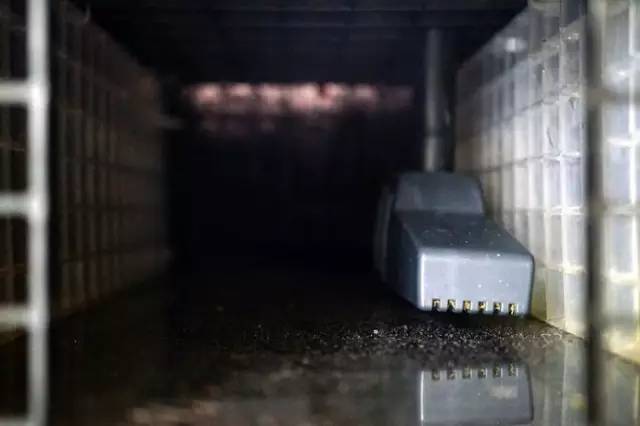 水族箱草缸开缸教程新手入门,雨林缸开缸多久植物才会稳定