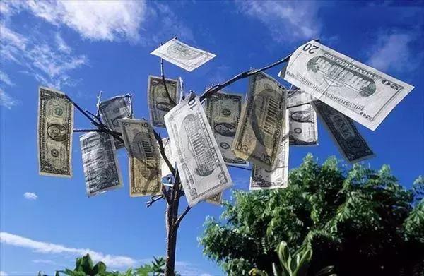 骗贷套路深度解析,如何规避骗贷