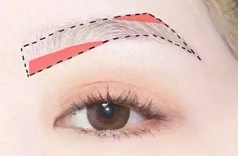 学会画美美的妆容,学会画五官素描