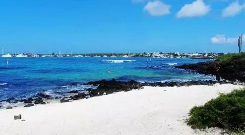 南美洲的神奇,南美洲神奇的地方