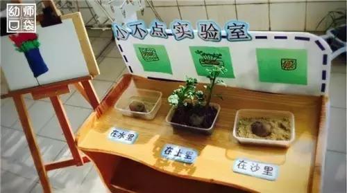 幼儿园如何打造自然区角的环境,复古自然角幼儿园