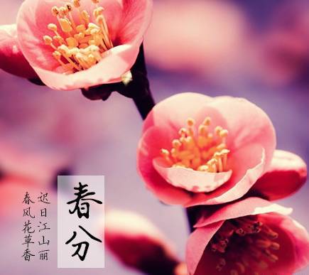 舌尖上的春天你推荐哪一道,舌尖上的春天你不能错过的美食