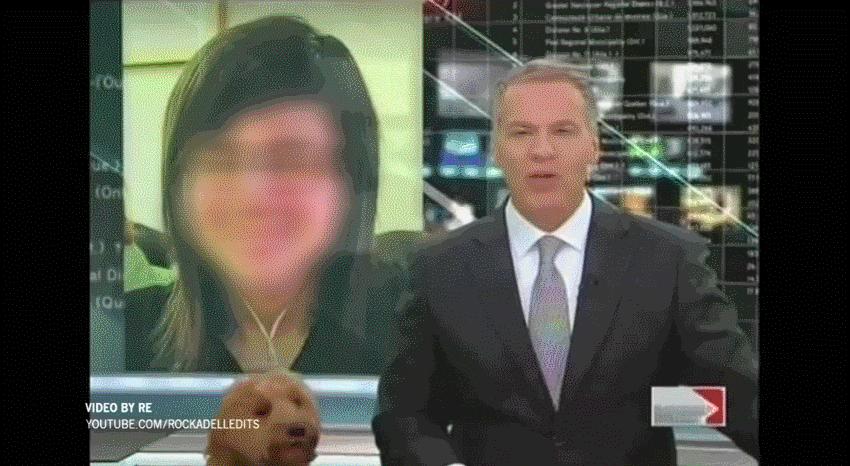 新闻直播间被车撞,新闻直播间被骂