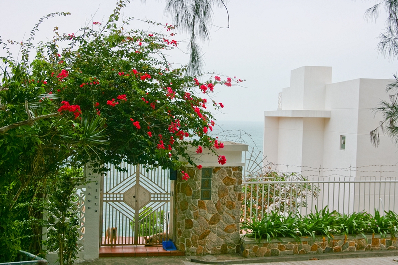 香港长洲岛乘船多少钱,长洲岛离香港多远
