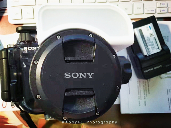 到巴厘岛的感受,到巴厘岛后怎么去蓝梦岛