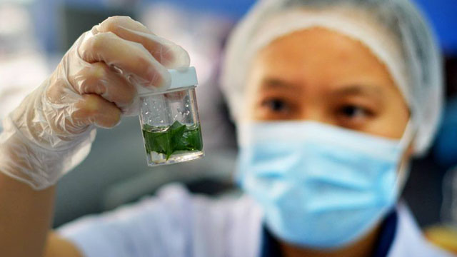 胃炎胃溃疡不用愁专家有妙招,幽门螺杆菌胃溃疡吃药怎么还难受