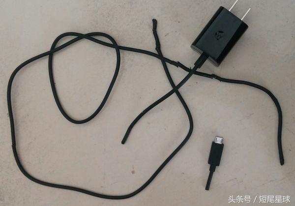 母兔子会咬数据线么,兔子喜欢咬主人是怎么回事