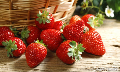 吃草莓的时节哪些草莓不能吃,四季草莓好吃还是奶油草莓好吃