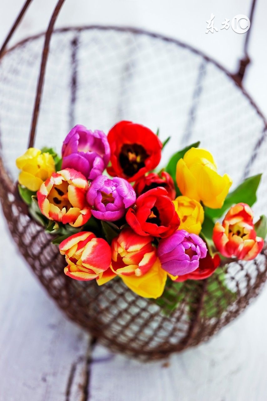 毕业了怎么办舍不得同学,毕业了怎么办