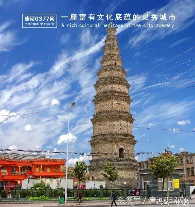 唐河，你就是一个P？