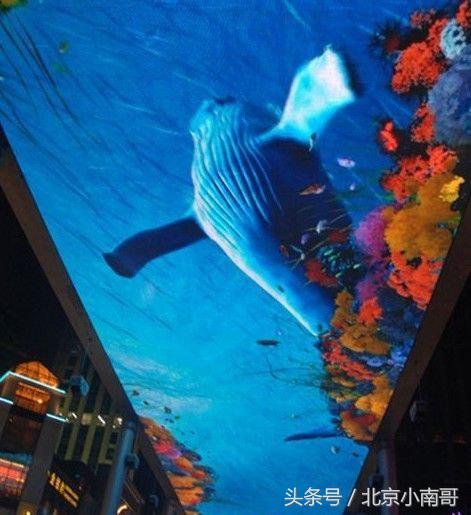 北京小南哥告诉你在超大屏幕进行游戏是一种什么感觉的体验！