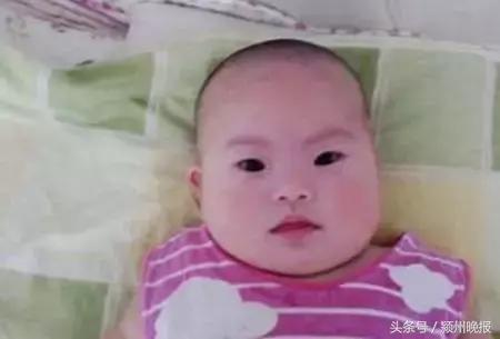 阜阳签约116个项目,阜阳签约新项目