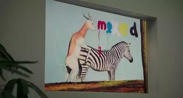 绝命毒师怒怼付兰兰，美国山寨居然这么良心