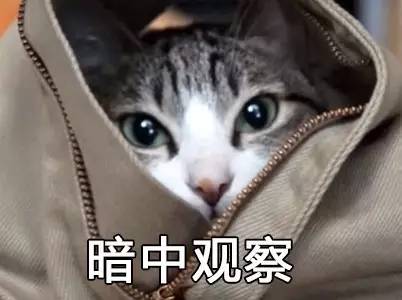 日语中那些美到窒息的词,日语最新流行词