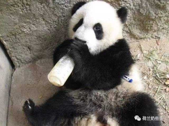 冲的奶粉喝不完可以做什么,冲的奶粉没吃完过会能继续吃吗