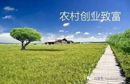 适合中年人创业的小本生意,40岁农村创业适合做什么